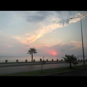 Meet your Posher, Violeta